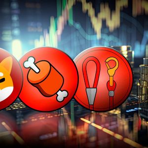 Major Bullish Statement About Shibarium Coins Issued by SHIB Team Rep