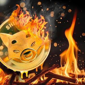SHIB Burns On Fire Despite SHIB Price Going Down