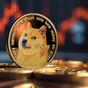 Dogecoin (DOGE) Faces Whale Drama as Key Metric Drops 86%