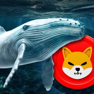 Shiba Inu (SHIB) Whales Waking Up: Details