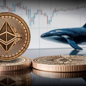 Ethereum (ETH) Confidence Soars Among Large Whales, Here’s Big Bullish Driver