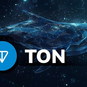 Toncoin (TON) Whale Activity Skyrockets 237% Ahead of Price Move