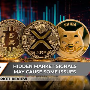 Bitcoin (BTC) Hidden Disaster Incoming? XRP Reaches Turning Point: What's Next? Shiba Inu (SHIB) On Path to Victory?