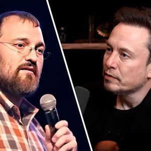 Charles Hoskinson Reveals Mind-Blowing Fact About Elon Musk