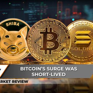 Will Shiba inu (SHIB) Lose $0.00002? Bitcoin (BTC) Plummets After Hitting $70,000, Solana (SOL) Might Be Safest Asset on Market's Top Right Now