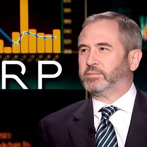 Ripple CEO Backs XRP Community Amid Major Event: Details
