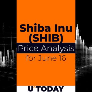 SHIB Price Prediction for June 16