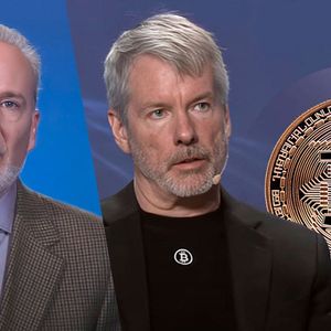 Is Michael Saylor Doomed? Peter Schiff Reveals How Bitcoin and MicroStrategy Will Crash