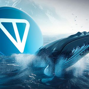 Toncoin Skyrockets 306% in Whale Activity as TON Trails XRP