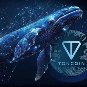 Toncoin (TON) Whales Fiesta Continues With 1.72 Million In Volume