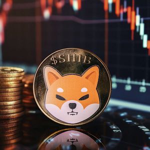 Shiba Inu Next Massive Support Unveiled as SHIB Price Dips 9%