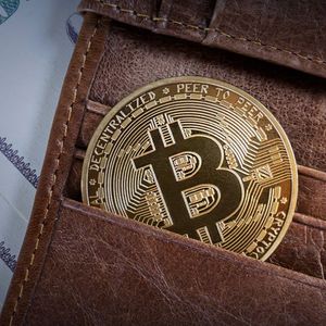 Bitcoin: 10,000 BTC Wallets Pack 212,450 BTC To Scale 6 Year High