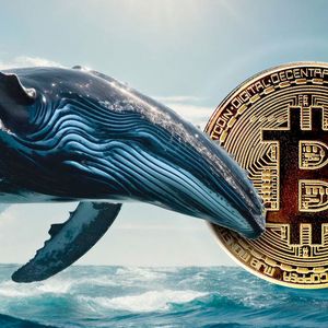 Silent $8 Million Bitcoin Whale Awakens and Does This