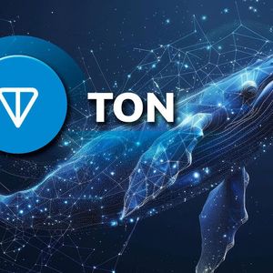 TON Surges 983% in Key Whale Metric as Market Faces Uncertainty