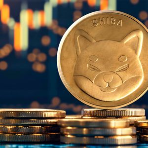 5.7 Trillion Shiba Inu (SHIB) In 24 Hours: What's Happening?