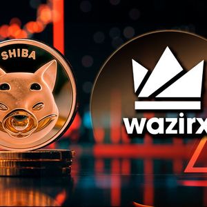 Shiba Inu (SHIB) Price Takes Painful Dip Amid Major India Crypto Hack