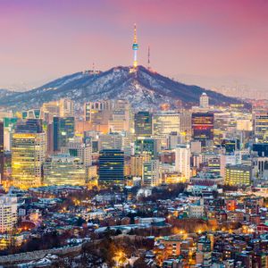 XRP and SHIB Just Surpassed Bitcoin in Key Metric in South Korea