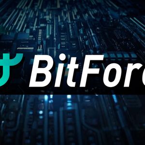 BitForex Team Finally Breaks Silence After Five Months of Shutdown: What's Next?