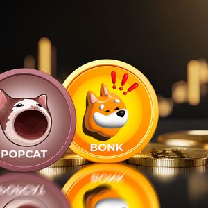 Meme Coins POPCAT, BONK On Fire with Double-Digit Gains Overnight