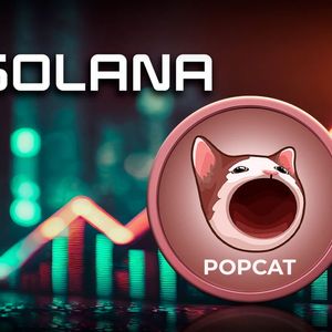 Solana Cat Memecoin Surges 117%, But There's Something You Need to Know