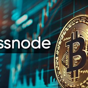 'Bitcoin Never Halts': Glassnode Indicators Show Bullish Optimism