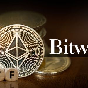 Bitwise Has Big Plans For Ethereum Developers, Here's How