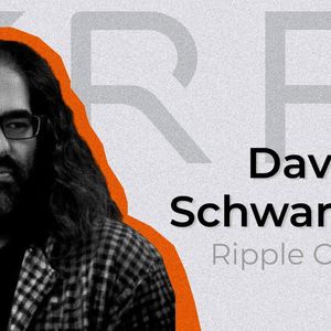 ‘I’m Very Excited’: Ripple CTO Reacts to New XRP Bot