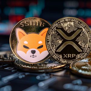 XRP and Shiba Inu (SHIB) Holders Suffer, But Here's Why It's Bullish