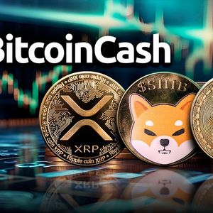 BTC, XRP, and SHIB Outshined By 14% Bitcoin Cash (BCH) Surge