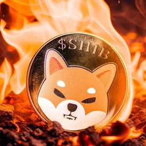 Major SHIB Metric Soars 7,334% As Team Announces Crucial Update Coming This Week