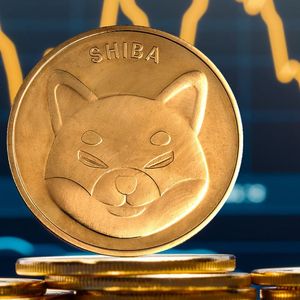 Shiba Inu (SHIB) Price Might Hit Rebound Point Soon, Here's Why