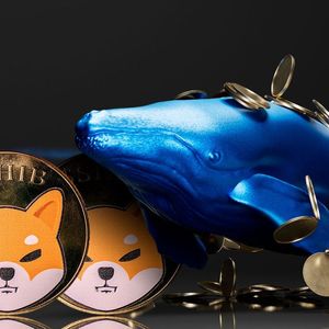 Shiba Inu Skyrockets 588% in Whale Activity as 9 Trillion SHIB Transacted