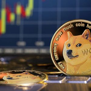 Dogecoin (DOGE) Network Activity Soars as Price Rebounds 14%