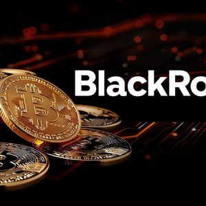 BlackRock Didn't Sell During Crypto Market Crash: Details