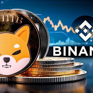 Binance Moves 137 Billion Shiba Inu (SHIB): Details
