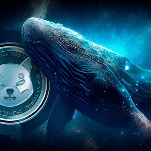 Shiba Inu (SHIB) Spikes 240% in Key Stat as Whale Activity Unveiled