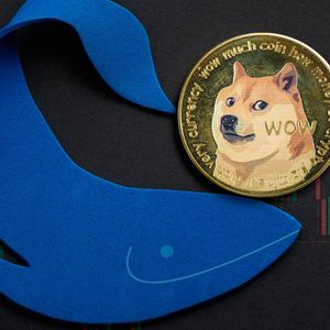 Dogecoin Rockets 1,476% with Whale Buys