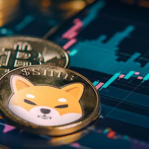 Shiba Inu Executive Makes Stunning Bitcoin Market Prediction