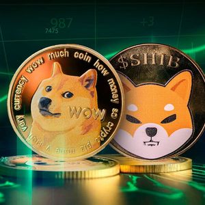 DOGE Surpasses SHIB and Rest of Meme Coins in Key Metric: Details