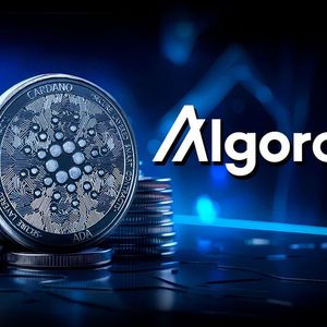 Cardano Community Excited Amid Algorand Partnership Speculation