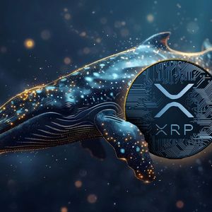 Mega XRP Whale Emerges After 99 Million Token Transfer