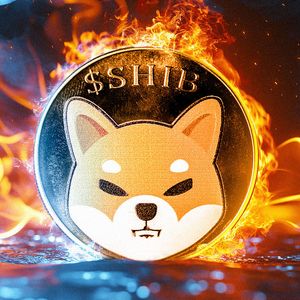 SHIB Burns Explode by 790% Despite Massive Price Setback