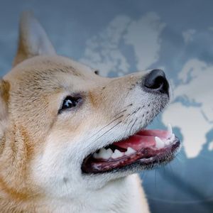 Most Important Day for Shiba Inu (SHIB) Holders Has Arrived