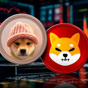 SHIB and WIF Among Worst-Performing Meme Coins