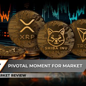 XRP: Skyrocketing or Staling? Shiba Inu (SHIB) Massive Breakthrough is Still Real, Tron (TRX) Is Finally Dethroned?