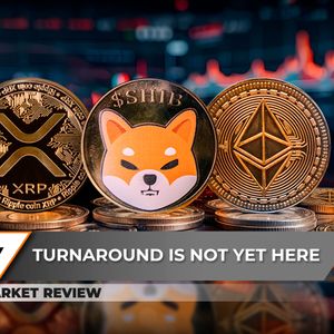 XRP Sees Major Breakdown: What's Happening? Shiba Inu (SHIB) Paints Candlestick Reversal Pattern, Ethereum (ETH) Makes Catastrophic Move