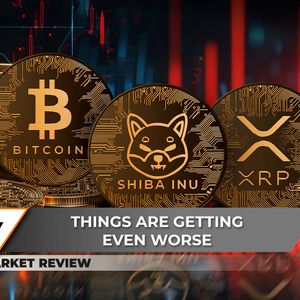 Bitcoin's Road Below $50,000: Are You Ready? Here's Why Shiba Inu (SHIB) Can't Wake Up, XRP Breaches Key Support Level