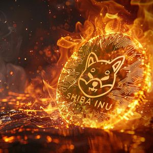 SHIB Burns Skyrocket 1,664% Thanks to Big Whale – 250 Million SHIB Gone