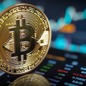 These Are Top Crypto Stocks to Watch During Bitcoin’s Recovery