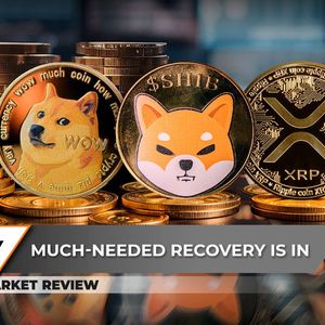 Dogecoin (DOGE) To Remove Zero, Shiba Inu (SHIB) Is Not Looking Healthy, XRP Catastrophe Avoided, Here's How